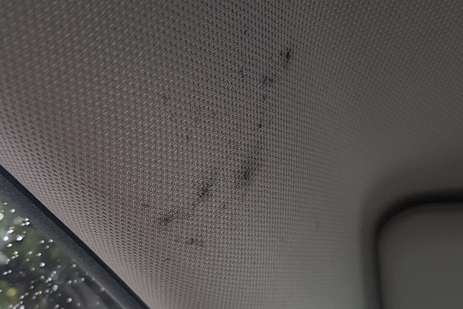 차량 곰팡이 이미지