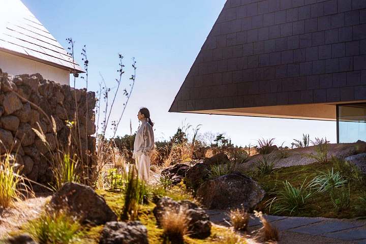 전참시 전지적참견시점 이영자 전현무 권율 파김치 보은로드 이집트 피라미드 펜션 숙소 한 곳 제주 서귀포 어디 추천 소개