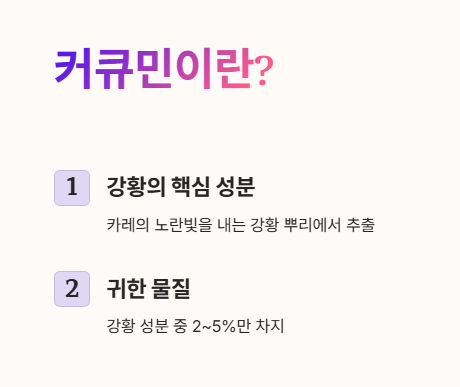 커큐민이란?