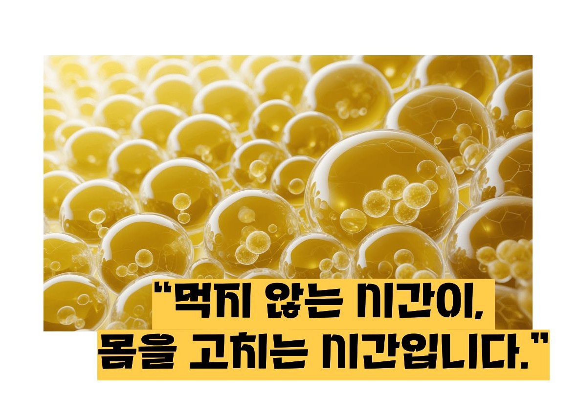 오토파지 뜻