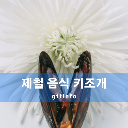 키조개의 효능