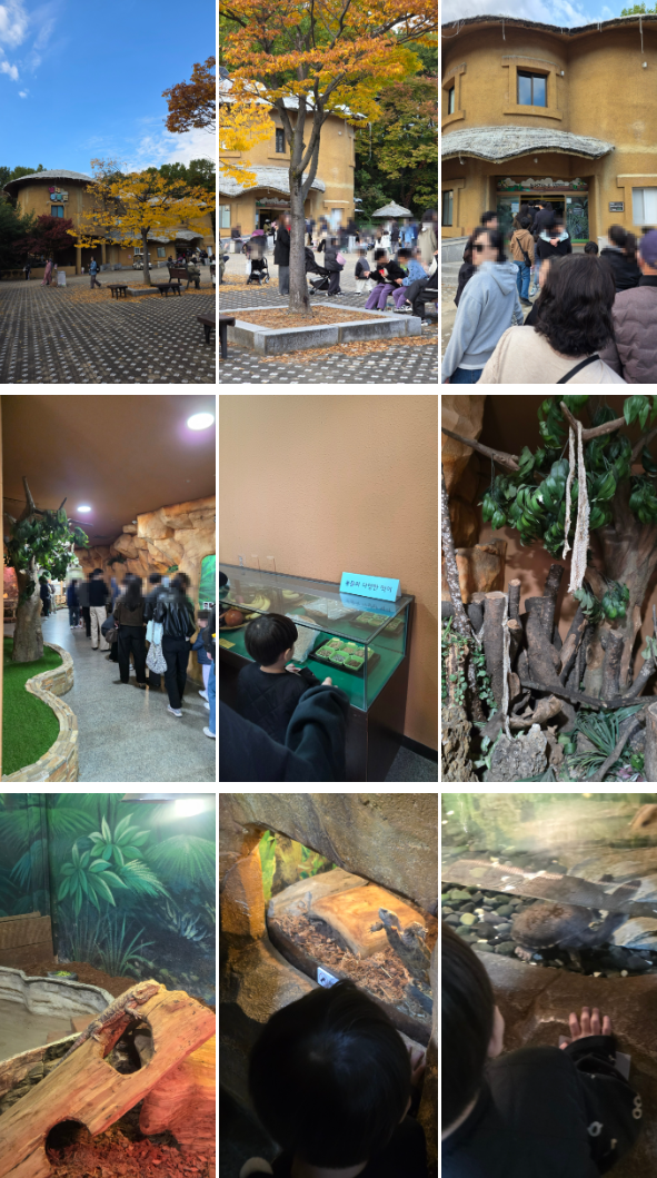 서울어린이대공원 동물원 가을 나들이 (무료입장/관람 코스)