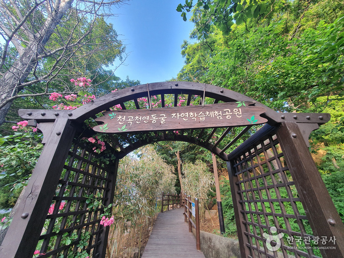 동해 가볼만한곳 - 천곡황금박쥐동굴