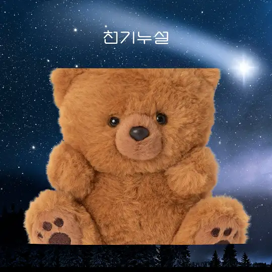 곰이 나오는 꿈 해몽