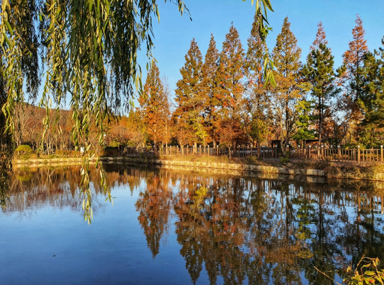 경북천년숲정원