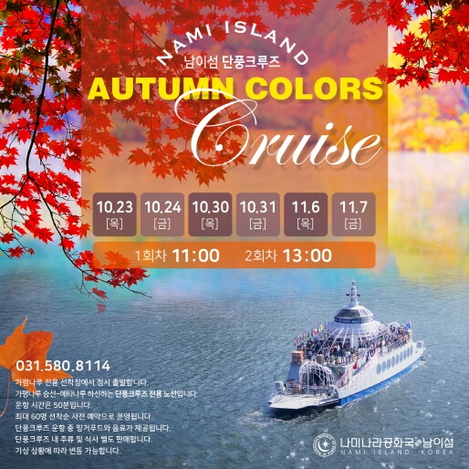 강원도 가을 단풍 여행 가이드 : 2025 남이섬 단풍 절정 시기 &amp; 추천 코스