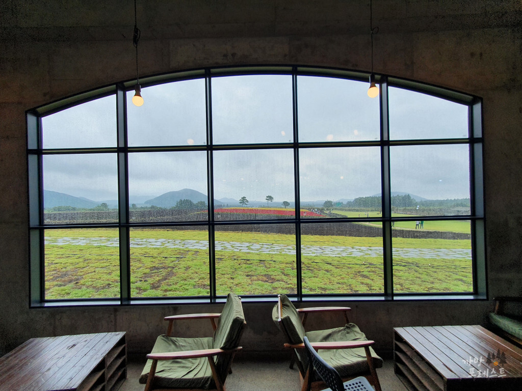 표선 보롬왓 실내 분위기