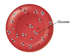당화혈색소 정상치