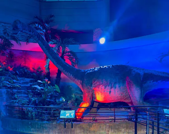 해남공룡박물관