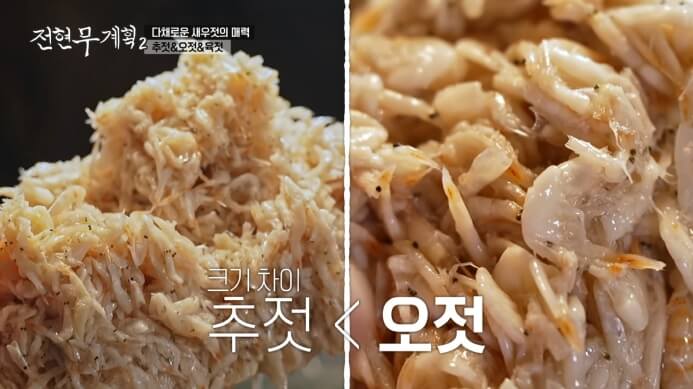 전현무계획2-광천-토굴새우젓