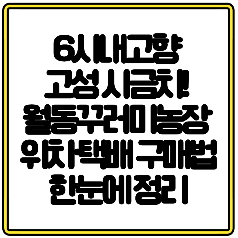 6시내고향 방영된 고성 시금치! 월동꾸러미농장 위치·택배 구매법 한눈에 정리