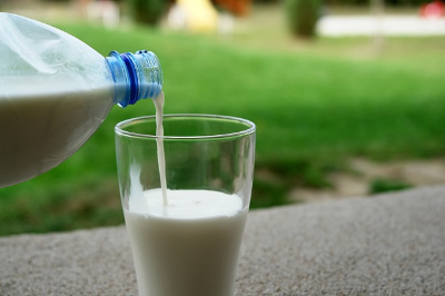 유당불내증 원인