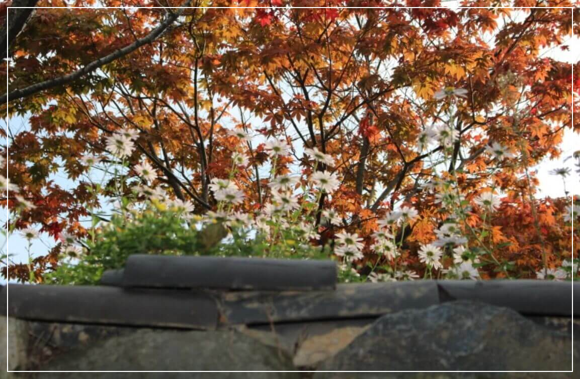 공주 가볼만한곳 베스트10 갑사