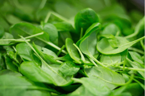 무릎관절에 좋은 음식