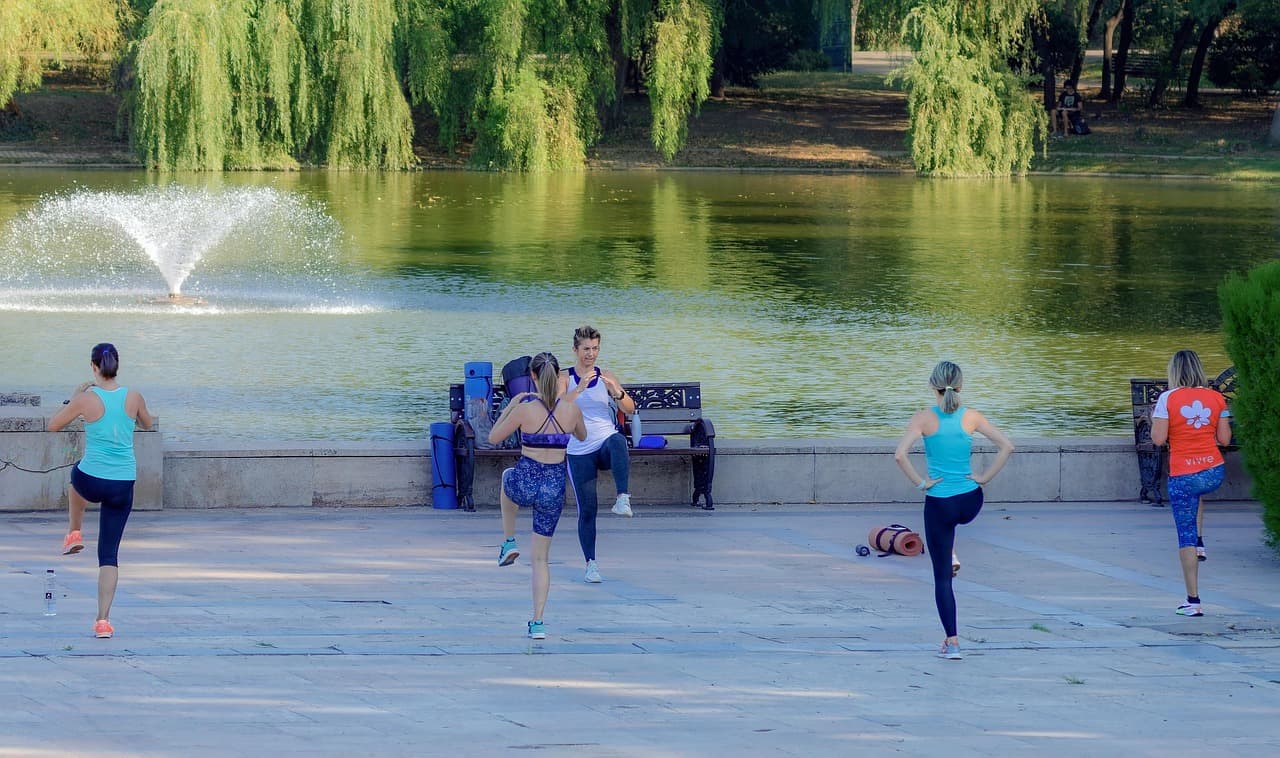 고령자 감정 케어와 멘탈 헬스: 외로움 극복, 펫 테라피, 정서적 지원 네트워크