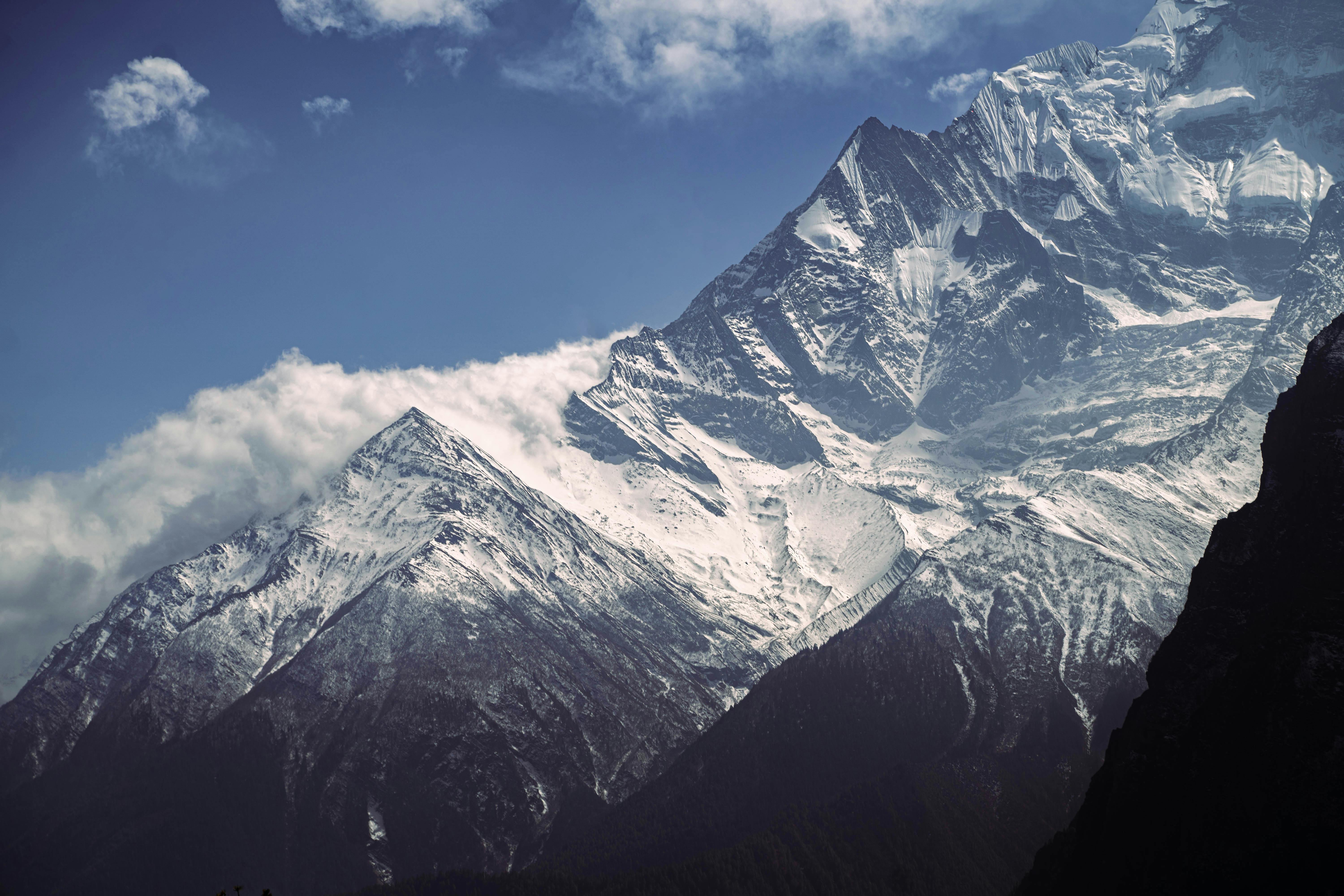 태어난김에세계여행