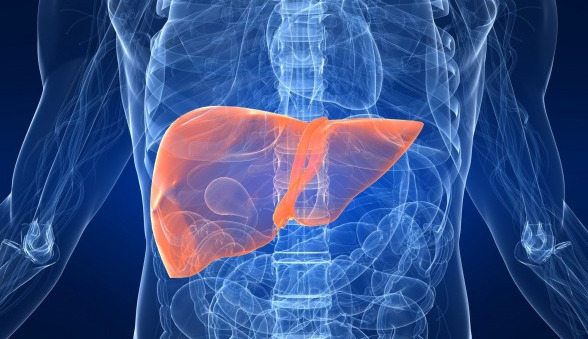 간이 안좋으면 나타나는 증상