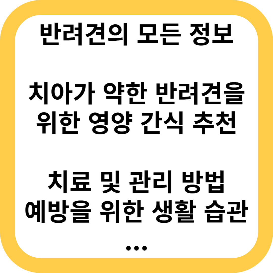 치아가 약한 반려견을 위한 영양 간식 추천