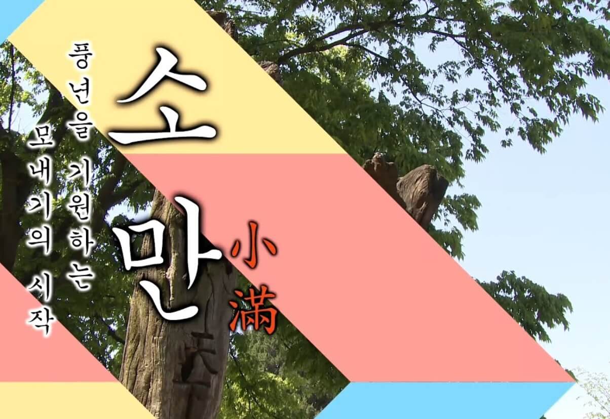 여름절기 소만