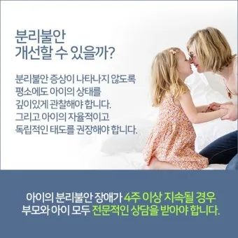 강아지 분리불안 진정 노즈워크 퍼즐 장난감 활용법_18