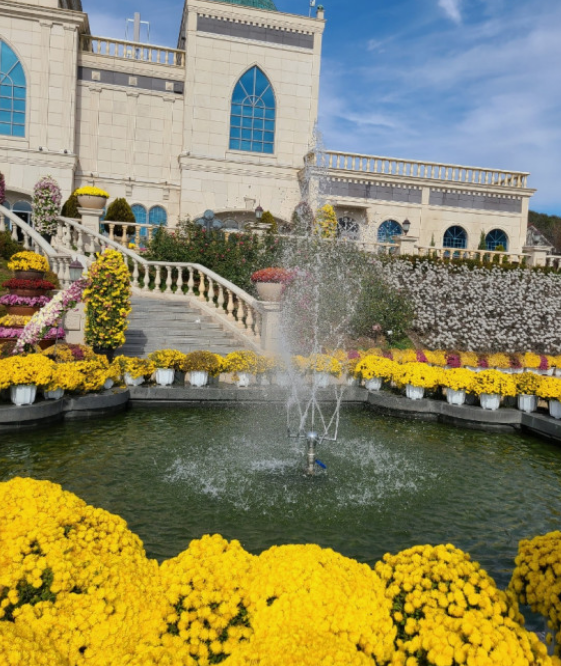 전국수선화명소