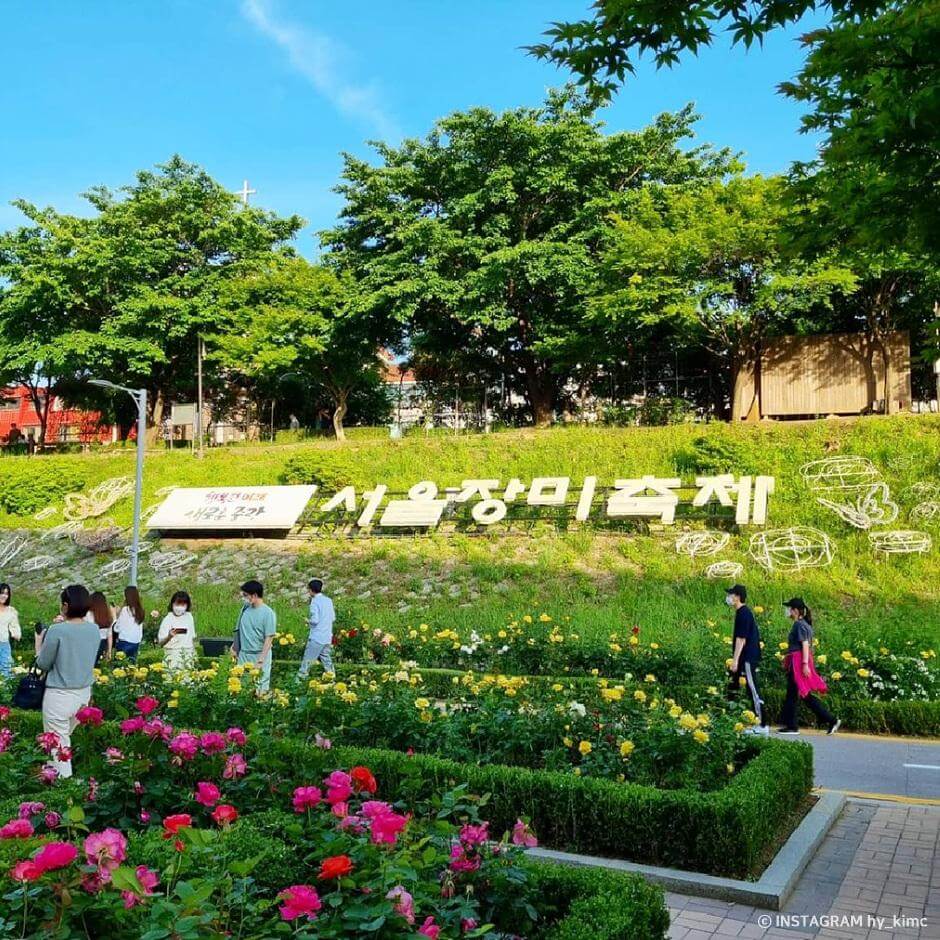 장미명소 서울 중랑 장미공원