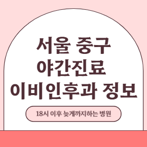 서울 중구 야간진료 이비인후과 병원 (18시 이후 늦게까지하는 병원)