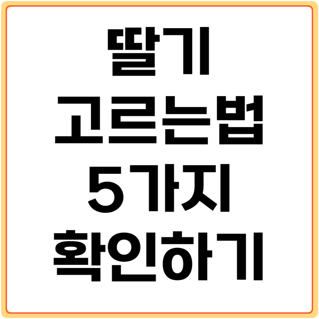 딸기-고르는법-5가지