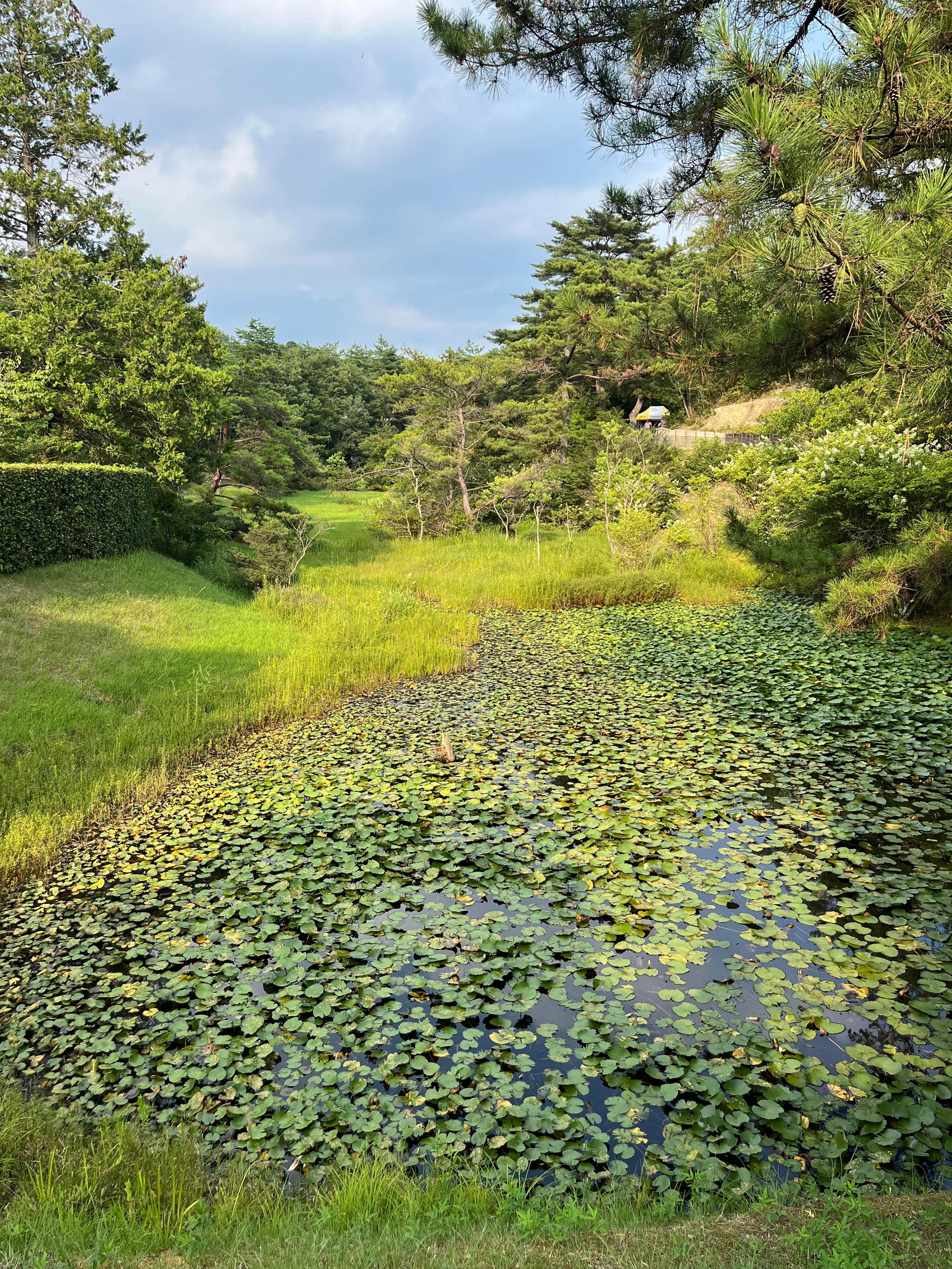 지브리 파크 돈도코 숲 가는 길 사진