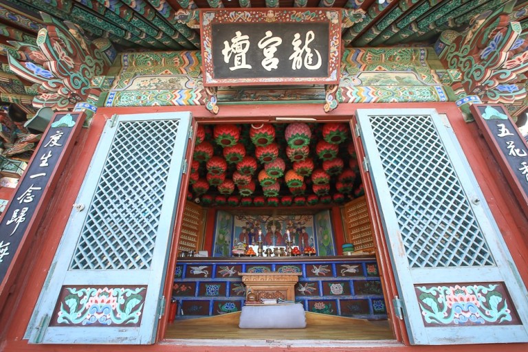 대체텍스트