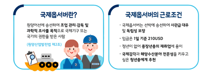 국제옵서버란? 근무조건