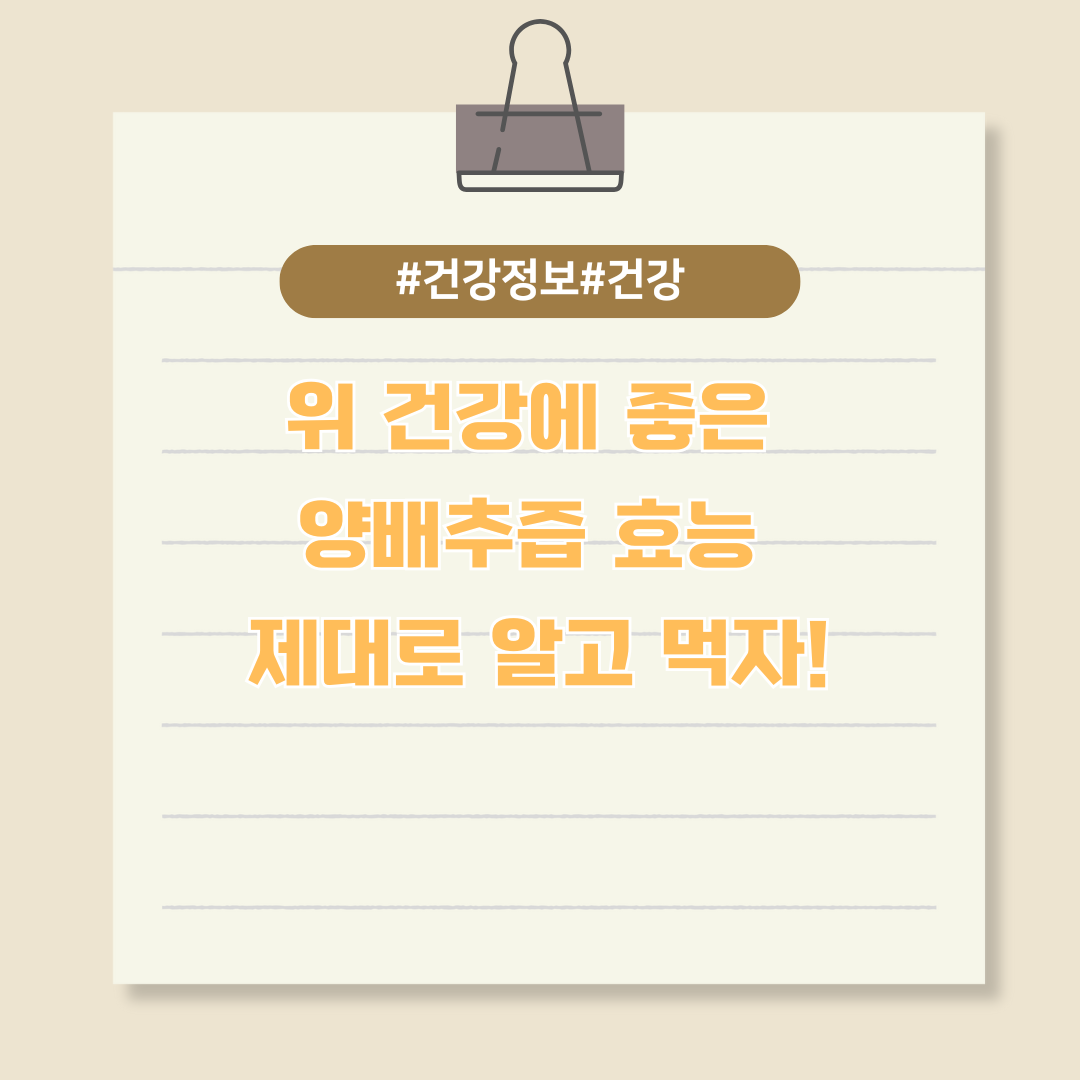위 건강에 좋은 양배추즙 효능 제대로 알고 먹자!