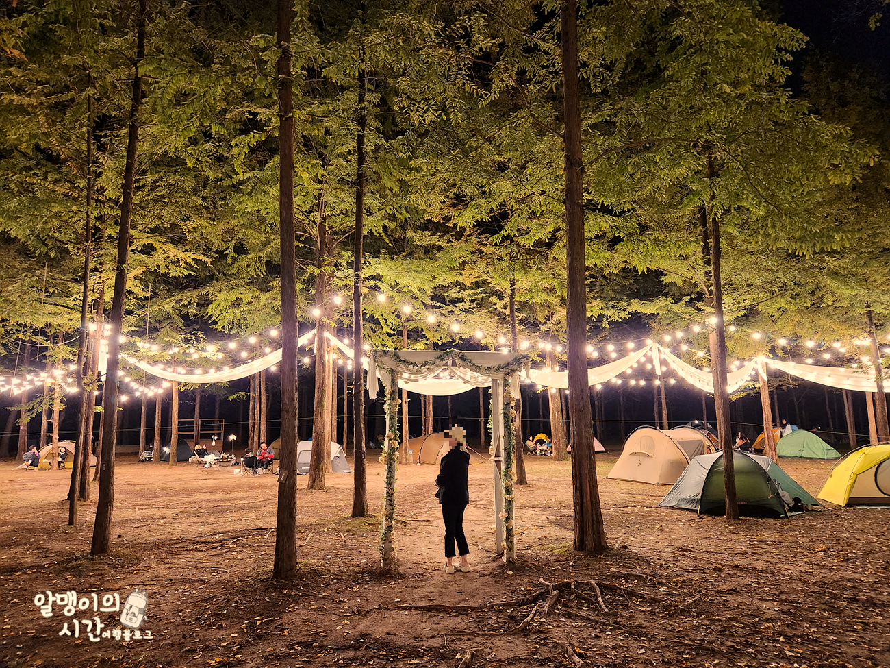 #27 엄마랑 춘천 남이섬 모녀 백패킹 _캠핑 초보자 박지 추천 - undefined - 열심히 일한 자, 마셔라 #27 엄마랑 춘천 남이섬 모녀 백패킹 _캠핑 초보자 박지 추천 - undefined - 열심히 일한 자, 마셔라