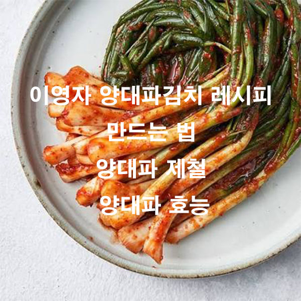 이영자 양대파김치 레시피 만드는 법 양대파 제철 양대파 효능
