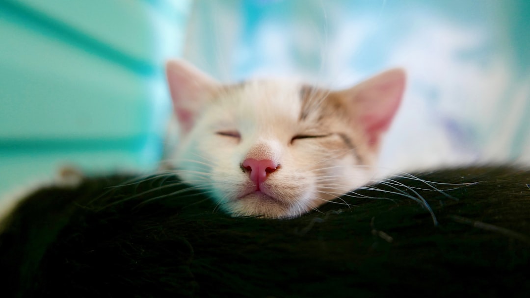 Sleep.
