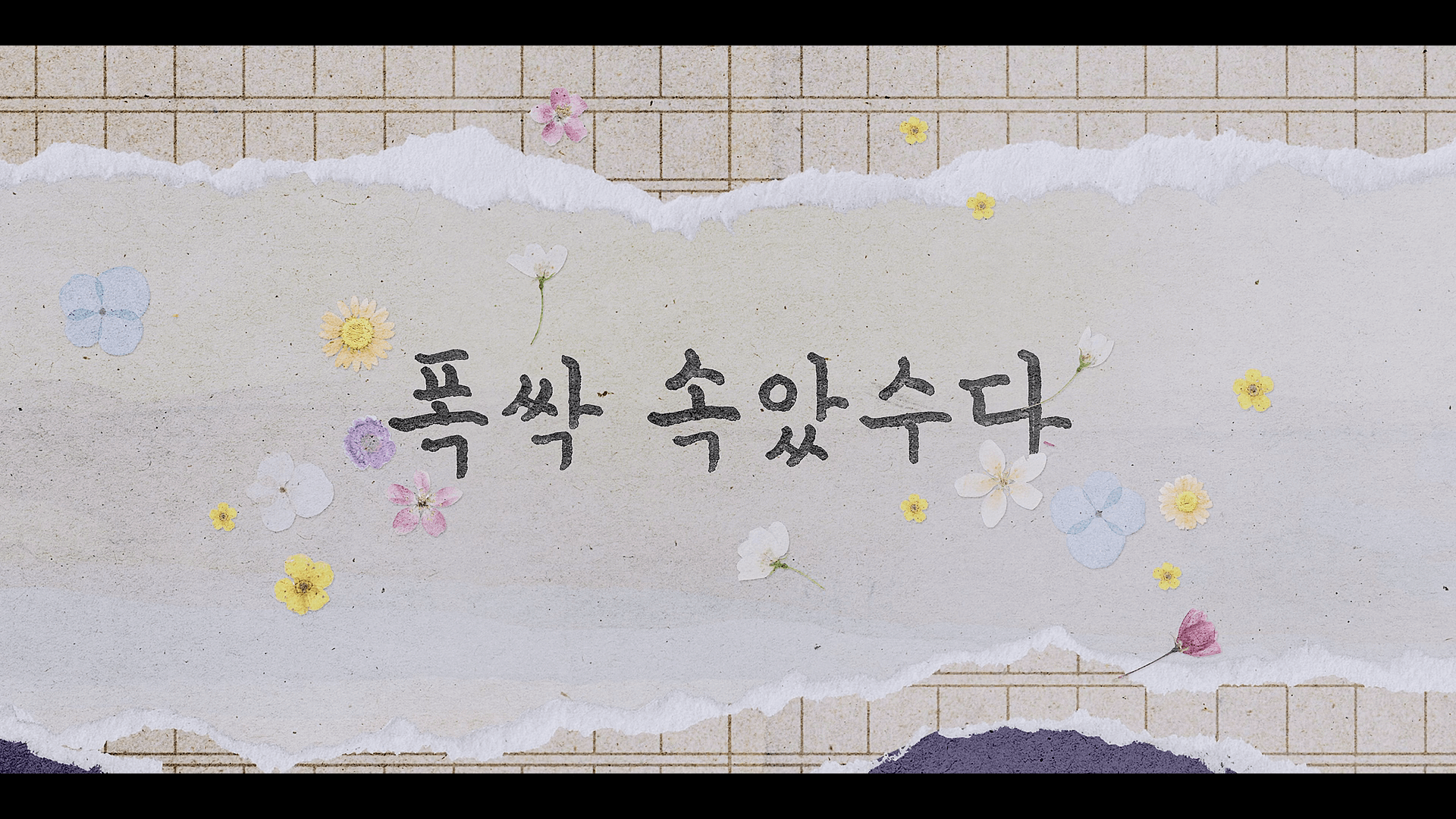넷플릭스 드라마 "폭싹 속았수다" 타이틀