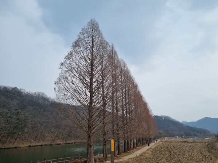 산책로