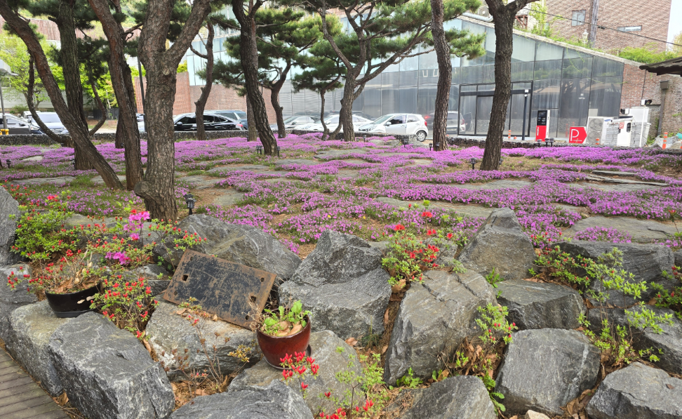 파주 아이스타일 카페 외부 사진