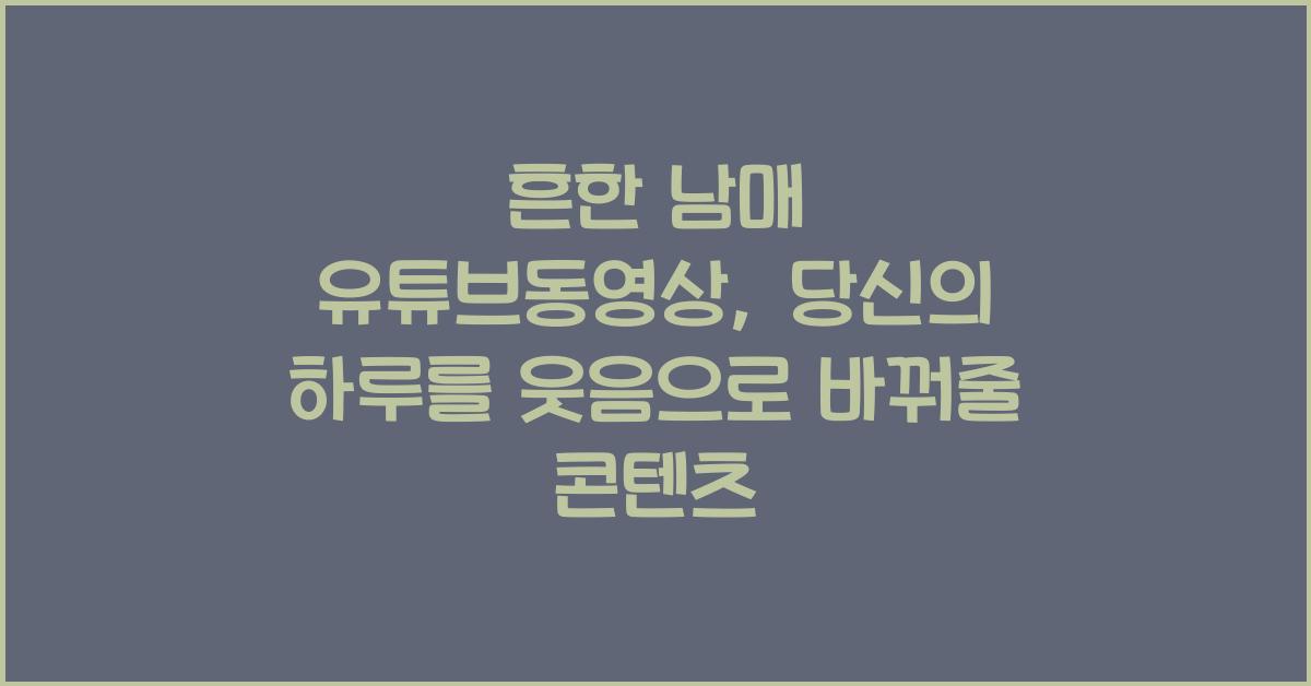 흔한 남매 유튜브동영상