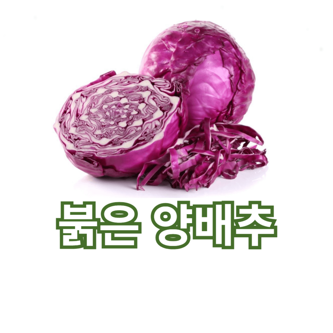 붉은 양배추 효능과 다이어트 효과, 제대로 알아보자!