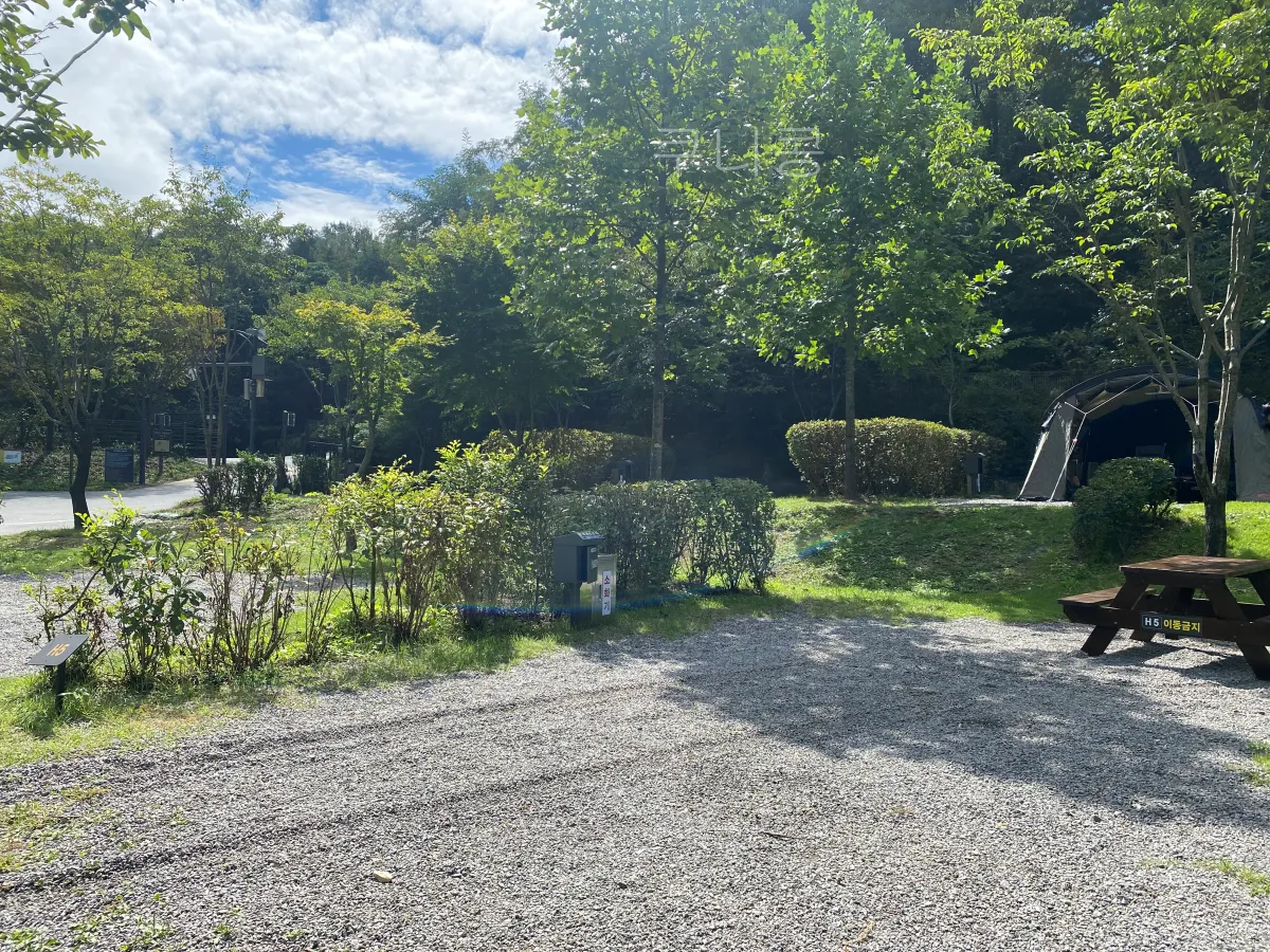 서울근교-당일캠핑-피크닉-가능한-초안산캠핑장-사이트-총정리(주차,통로위치-등)