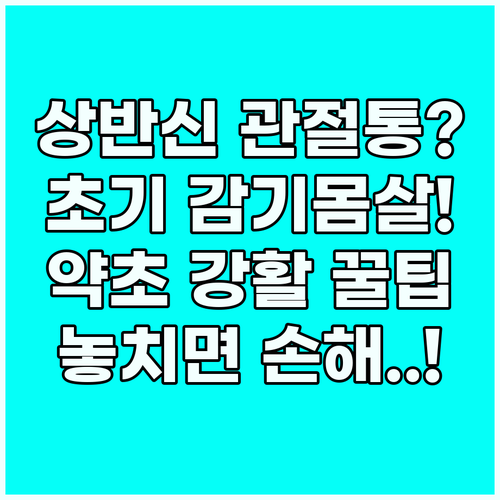 강활 상반신 관절통과 초기 감기 몸살..