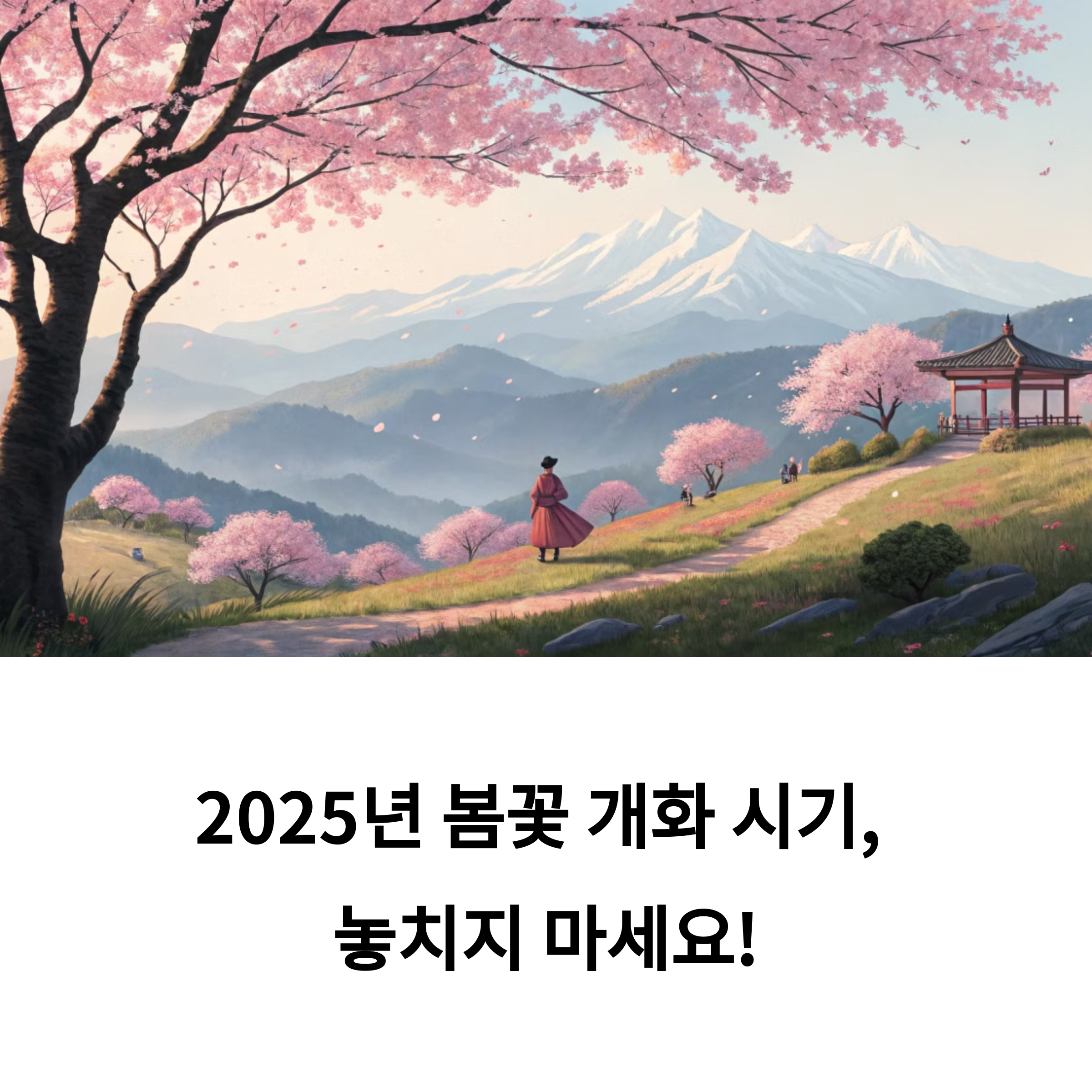 3월~4월 초 봄꽃 개화 시기 총정리, 이때 여행이 딱!