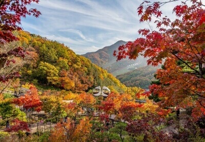 화담숲-모노레일-예약