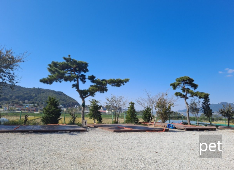 경기-인천-행복한소풍캠핑장-예약-방법-애견-동반-가격-주소-시간-후기