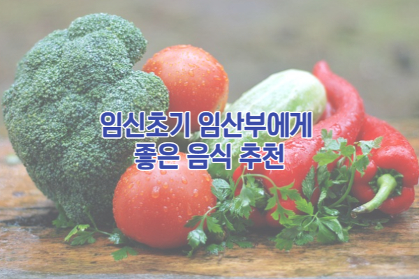 초기임신 임산부에게 좋은 음식