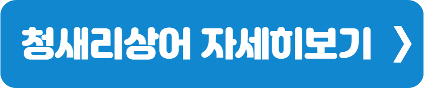 청새리상어 자세히보기