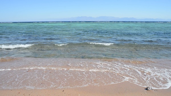 트래블 버블 뜻