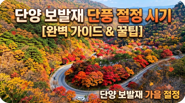 단양 보발재 단풍 절정 시기 주차 먹거리