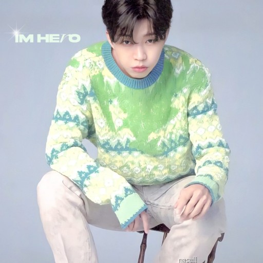  임영웅 상암콘서트 티켓일정 예매 꿀팁